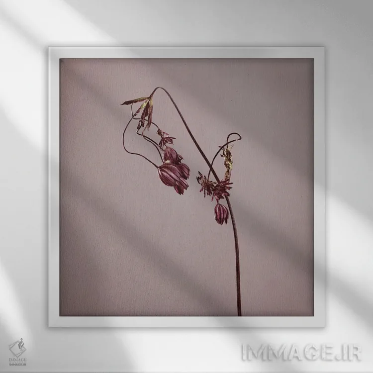 تابلو دکوراتیو فرسودگی XXVII اثر مایکل فرانک - نمای قابدار سفید