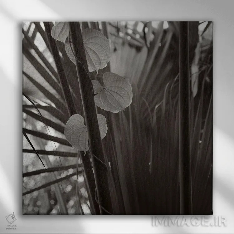 تابلو دکوراتیو باغ های کیو II-A اثر مایکل فرانک - نمای روبهرو روی دیوار