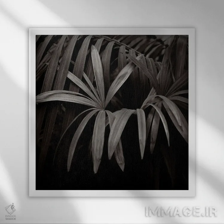 تابلو دکوراتیو باغ های کیو I-B اثر مایکل فرانک - نمای قابدار سفید