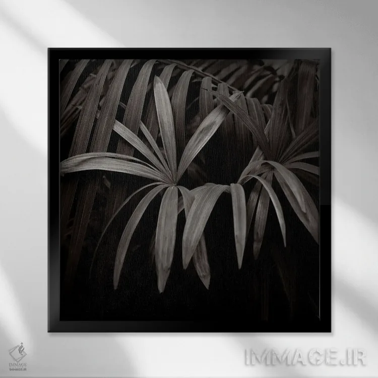 تابلو دکوراتیو باغ های کیو I-B اثر مایکل فرانک - نمای قابدار مشکی