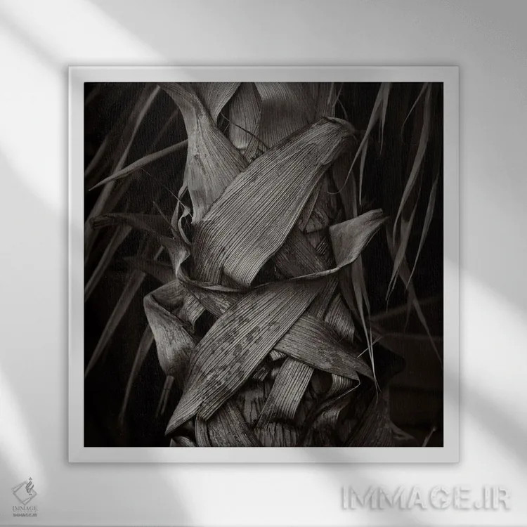 تابلو دکوراتیو باغ های کیو I-A اثر مایکل فرانک - نمای قابدار سفید