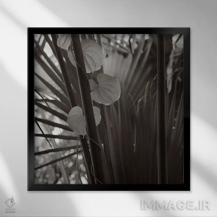 تابلو دکوراتیو باغ های کیو II-A اثر مایکل فرانک - نمای قابدار مشکی