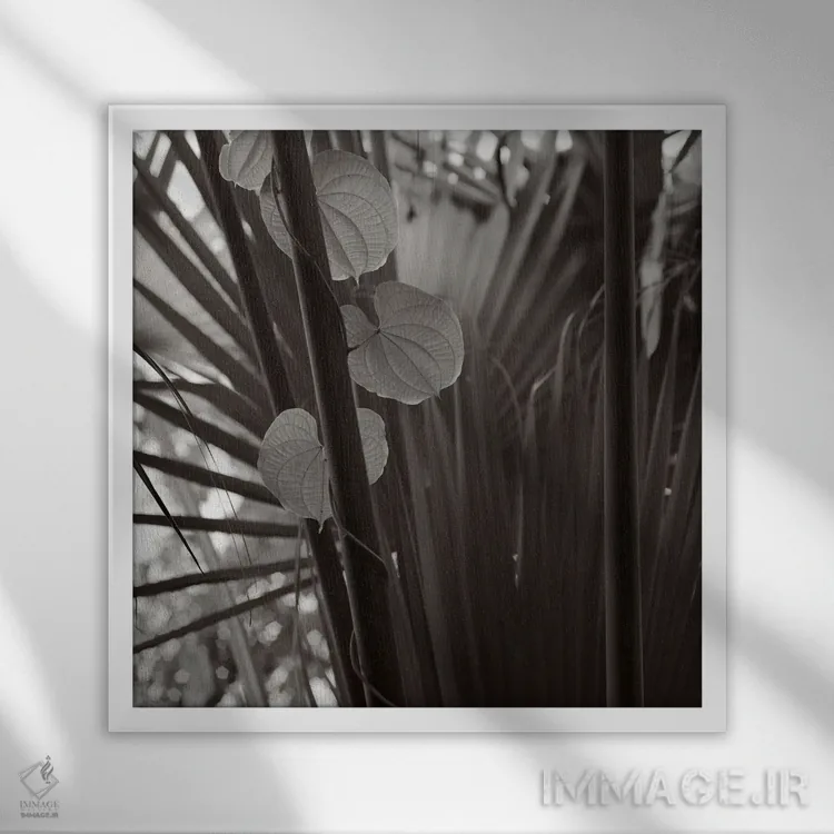 تابلو دکوراتیو باغ های کیو II-A اثر مایکل فرانک - نمای قابدار سفید