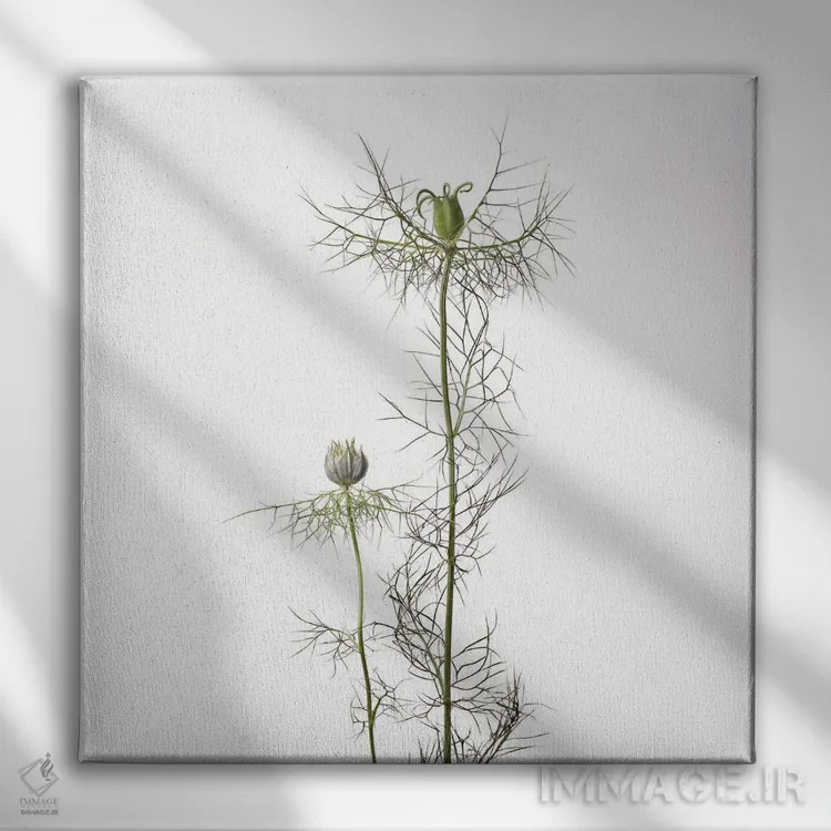 تابلو دکوراتیو گل سیاه دانه اثر مایکل فرانک - نمای روبهرو روی دیوار