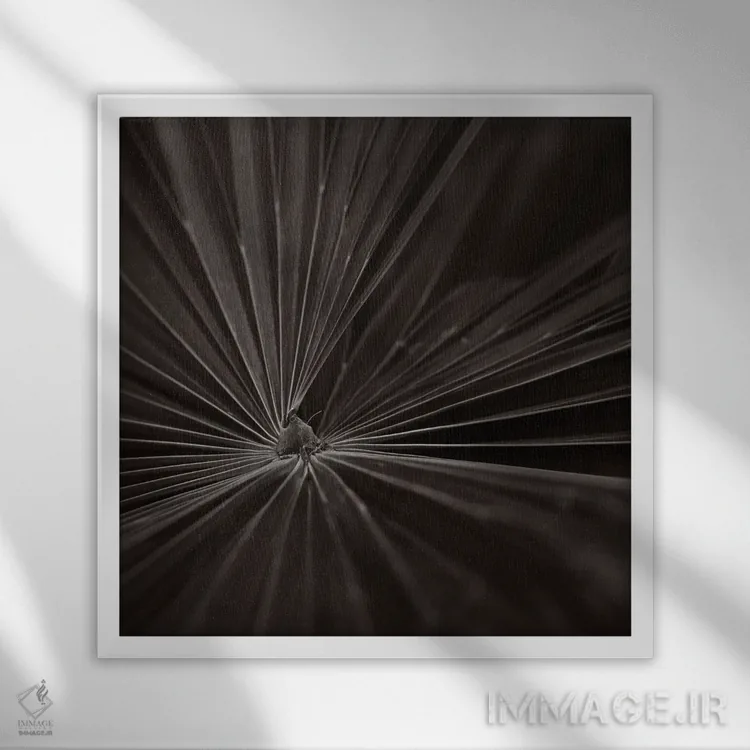 تابلو دکوراتیو باغ های کیو II-B اثر مایکل فرانک - نمای قابدار سفید