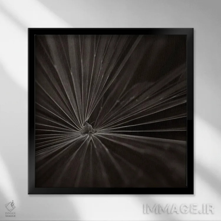 تابلو دکوراتیو باغ های کیو II-B اثر مایکل فرانک - نمای قابدار مشکی