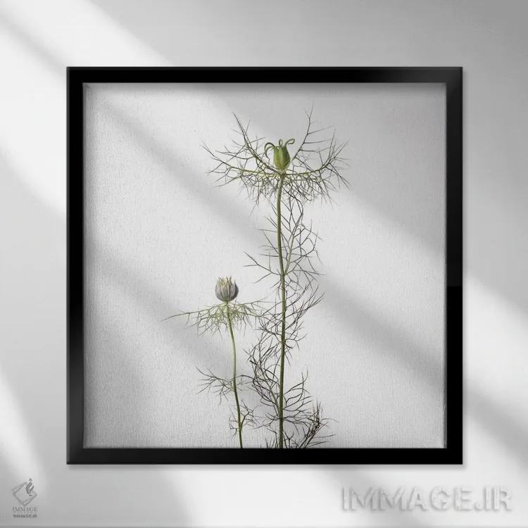 تابلو دکوراتیو گل سیاه دانه اثر مایکل فرانک - نمای قابدار مشکی