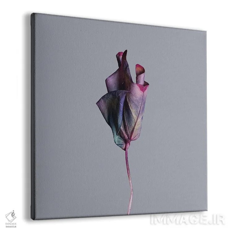 تابلو دکوراتیو برگ اوکزالیس اثر مایکل فرانک - نمای پرسپکتیو محصول