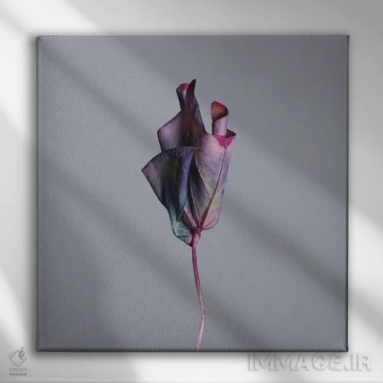 تابلو دکوراتیو برگ اوکزالیس اثر مایکل فرانک - نمای روبهرو روی دیوار