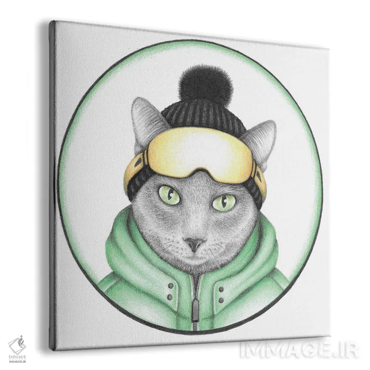 تابلو دکوراتیو گربه اسکی باز خاکستری اثر مندی هک - نمای پرسپکتیو محصول