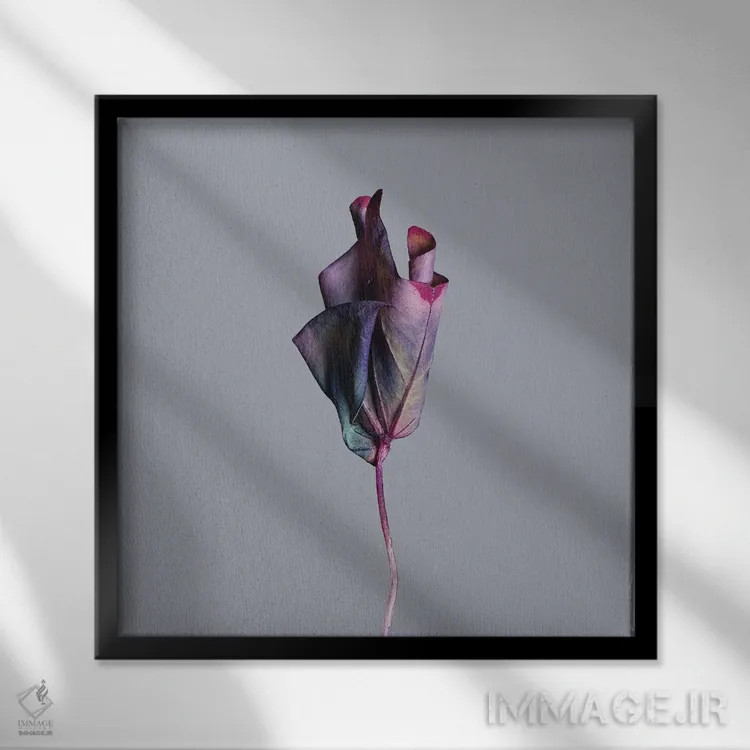 تابلو دکوراتیو برگ اوکزالیس اثر مایکل فرانک - نمای قابدار مشکی