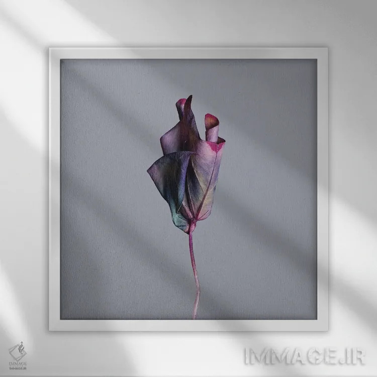 تابلو دکوراتیو برگ اوکزالیس اثر مایکل فرانک - نمای قابدار سفید