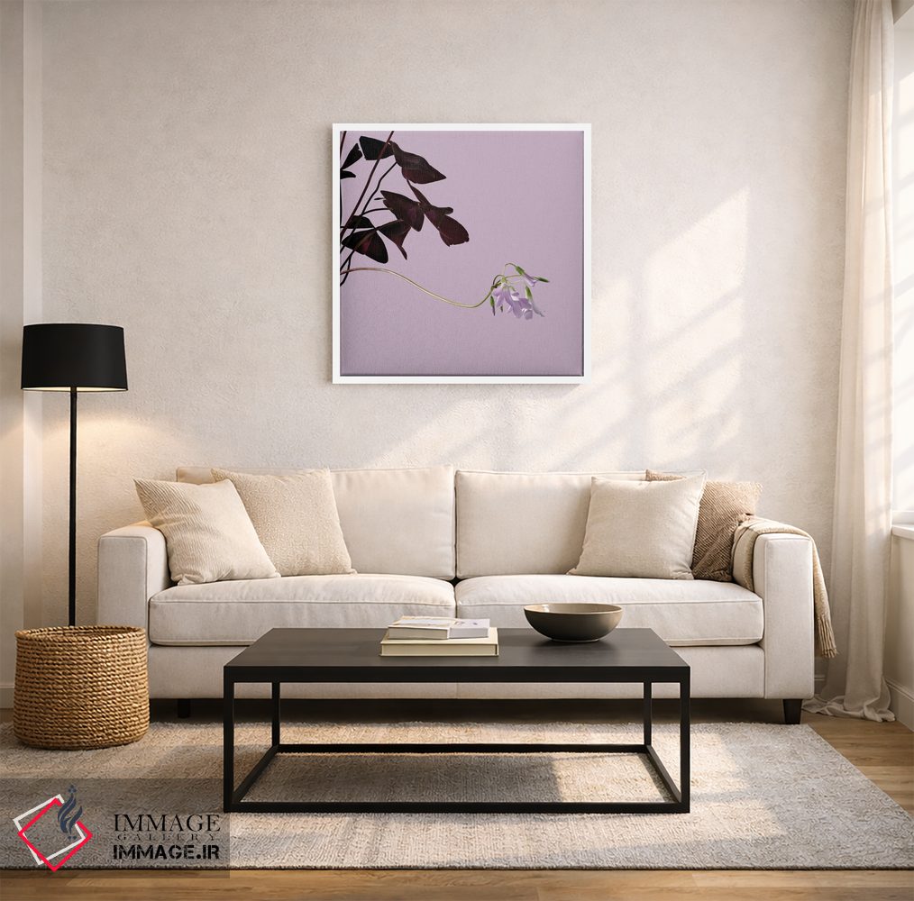 تابلو دکوراتیو اوکزالیس اثر مایکل فرانک - D2W