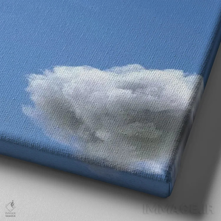 تابلو دکوراتیو فیل و سگ روی ابر در حال پروازند ۲ اثر مایک کیف - نمای نزدیک بافت بوم