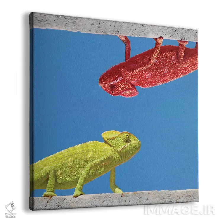 تابلو دکوراتیو دو جور آفتاب پرست اثر مایک کیف - نمای پرسپکتیو محصول