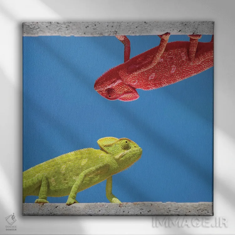 تابلو دکوراتیو دو جور آفتاب پرست اثر مایک کیف - نمای روبهرو روی دیوار