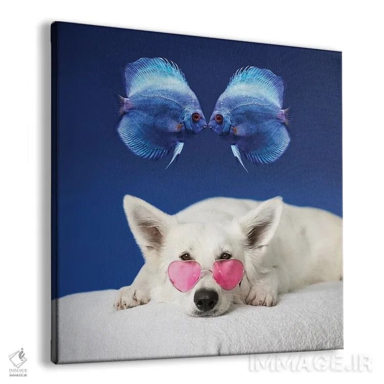 تابلو دکوراتیو سگ استراحت کنان و دو ماهی اثر مایک کیف - نمای پرسپکتیو محصول