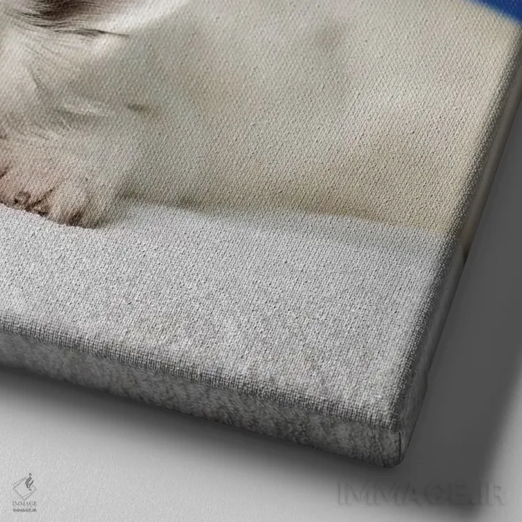 تابلو دکوراتیو سگ استراحت کنان و دو ماهی اثر مایک کیف - نمای نزدیک بافت بوم