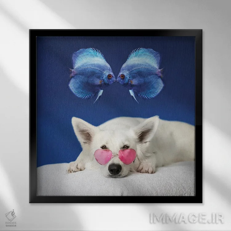 تابلو دکوراتیو سگ استراحت کنان و دو ماهی اثر مایک کیف - نمای قابدار مشکی