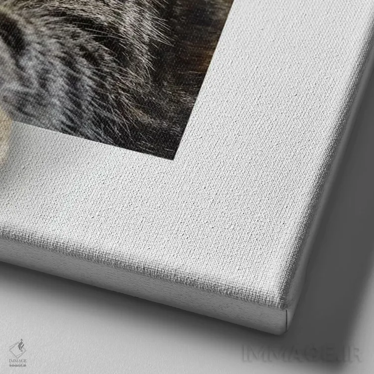 تابلو دکوراتیو گربه بزرگ استراحت کنان در قاب اثر مایک کیف - نمای نزدیک بافت بوم