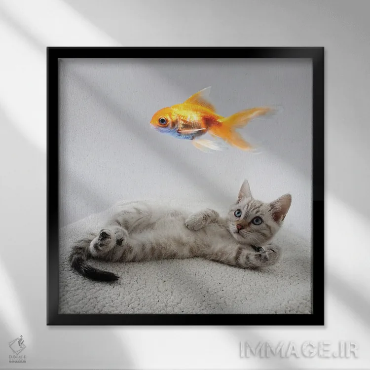 تابلو دکوراتیو بچه گربه استراحت کنان در حال تماشای ماهی اثر مایک کیف - نمای قابدار مشکی
