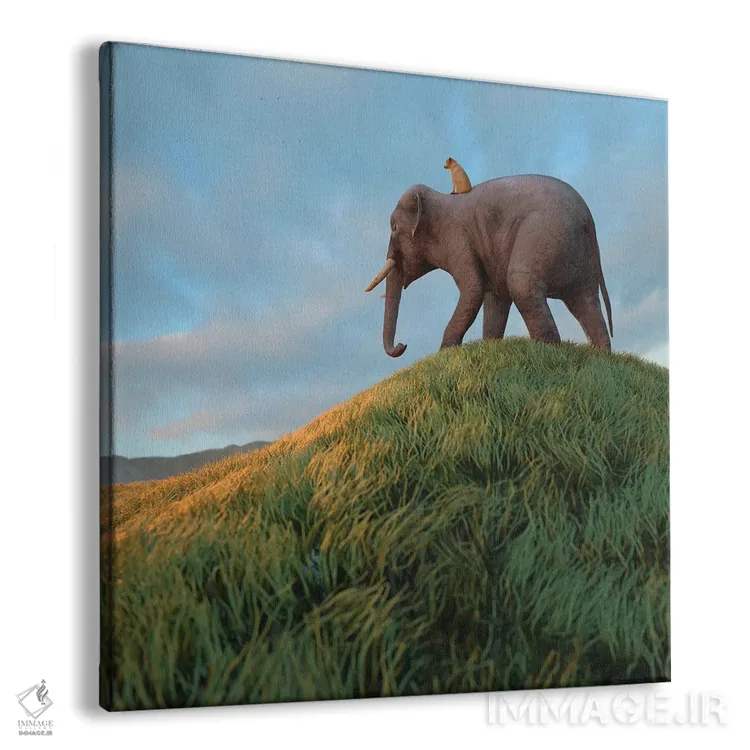 تابلو دکوراتیو سگ سوار بر فیل از میدان عبور می کند اثر مایک کیف - نمای پرسپکتیو محصول
