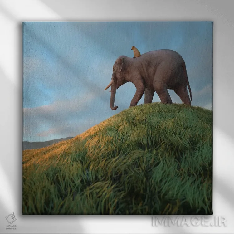 تابلو دکوراتیو سگ سوار بر فیل از میدان عبور می کند اثر مایک کیف - نمای روبهرو روی دیوار