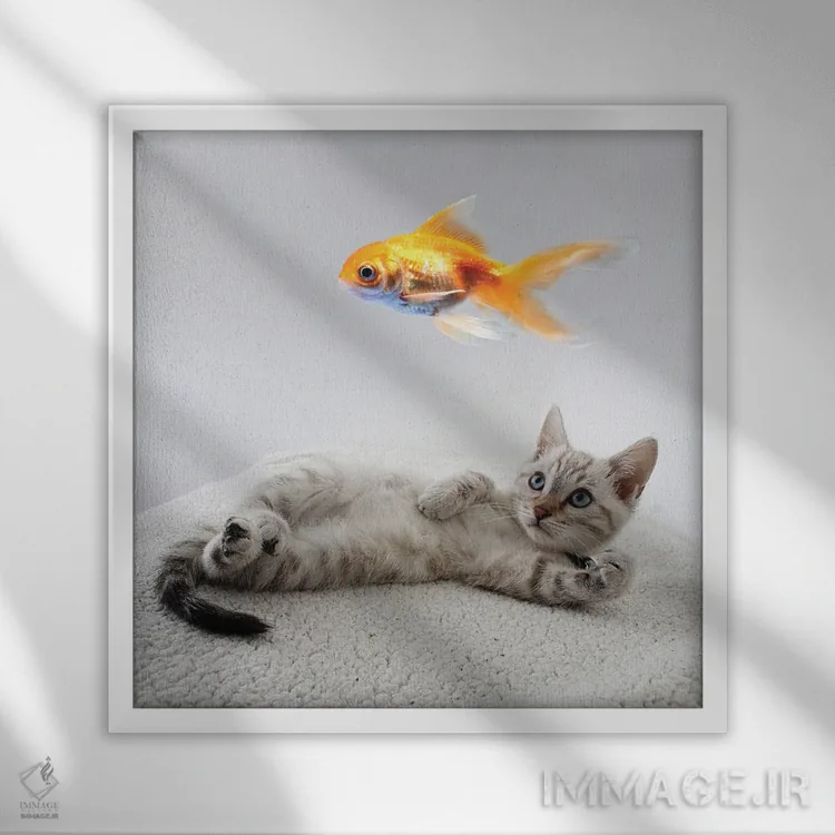 تابلو دکوراتیو بچه گربه استراحت کنان در حال تماشای ماهی اثر مایک کیف - نمای قابدار سفید
