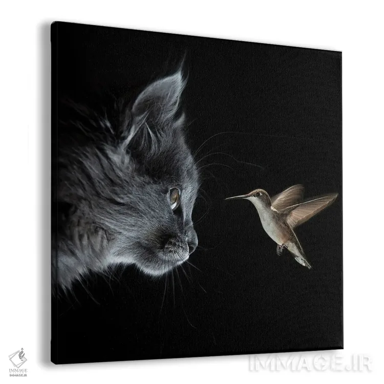 تابلو دکوراتیو گربه و مرغ مگس خوار در تاریکی ملاقات کردند اثر مایک کیف - نمای پرسپکتیو محصول