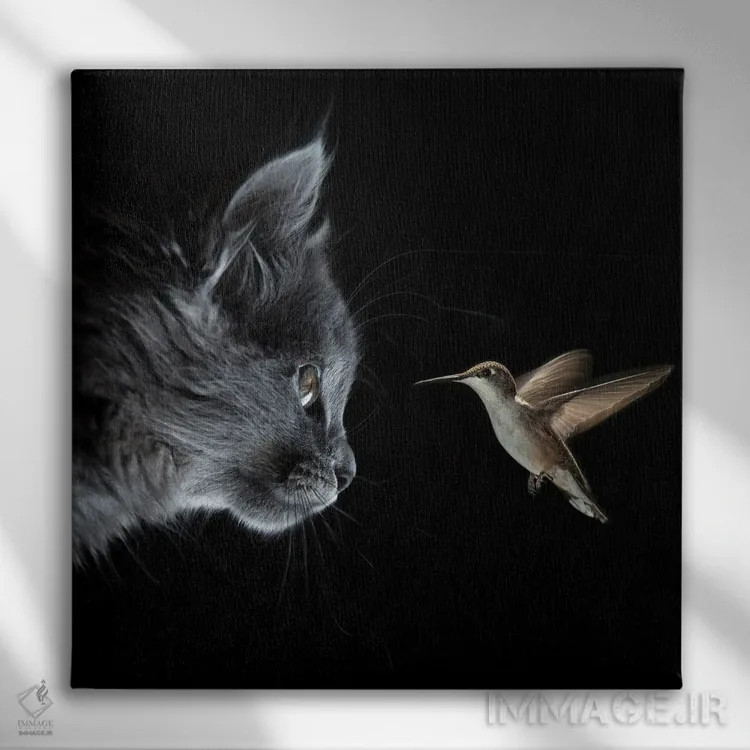 تابلو دکوراتیو گربه و مرغ مگس خوار در تاریکی ملاقات کردند اثر مایک کیف - نمای روبهرو روی دیوار