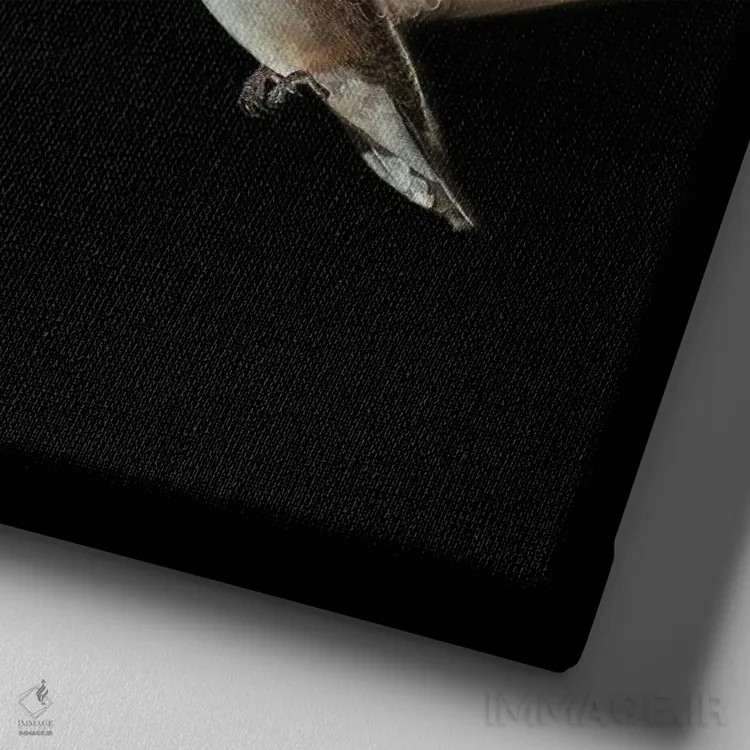 تابلو دکوراتیو گربه و مرغ مگس خوار در تاریکی ملاقات کردند اثر مایک کیف - نمای نزدیک بافت بوم