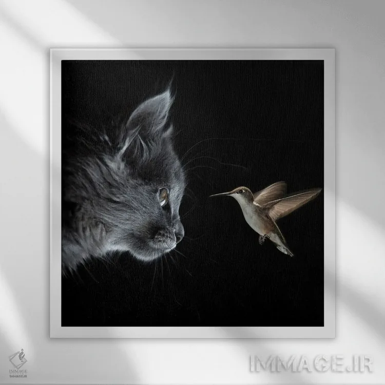 تابلو دکوراتیو گربه و مرغ مگس خوار در تاریکی ملاقات کردند اثر مایک کیف - نمای قابدار سفید