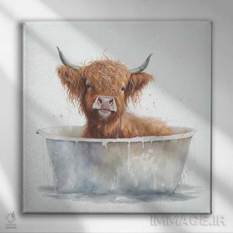 تابلو دکوراتیو شستن گاو هایلند ۱ اثر مایک کیف - نمای روبهرو روی دیوار