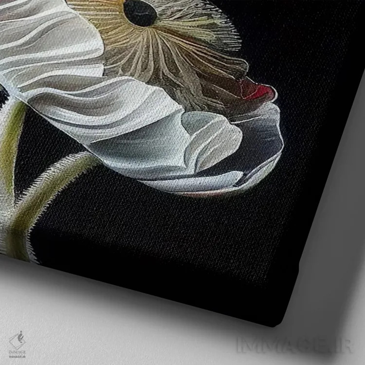 تابلو دکوراتیو گل شقایق قرمز روی زمینه سیاه اثر مایک کیف - نمای نزدیک بافت بوم