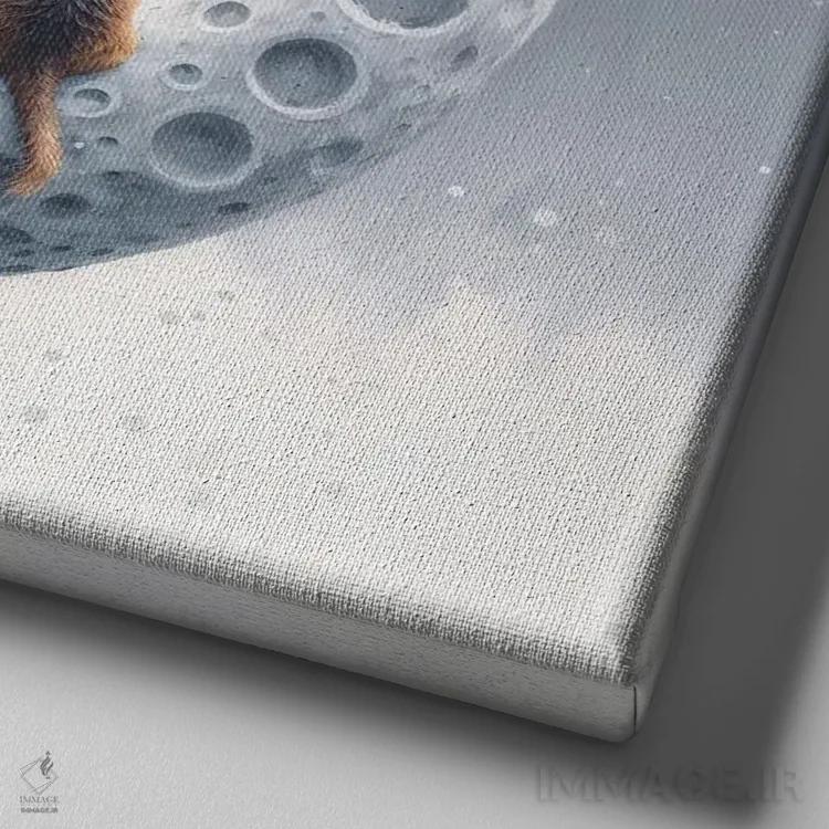 تابلو دکوراتیو فیل نارنجی و سگ روی ماه نشسته اند دوم اثر مایک کیف - نمای نزدیک بافت بوم