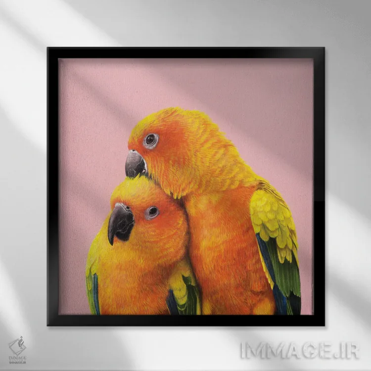 تابلو دکوراتیو طوطی خورشیدی اثر میخائیل ودرنیکوف - نمای قابدار مشکی