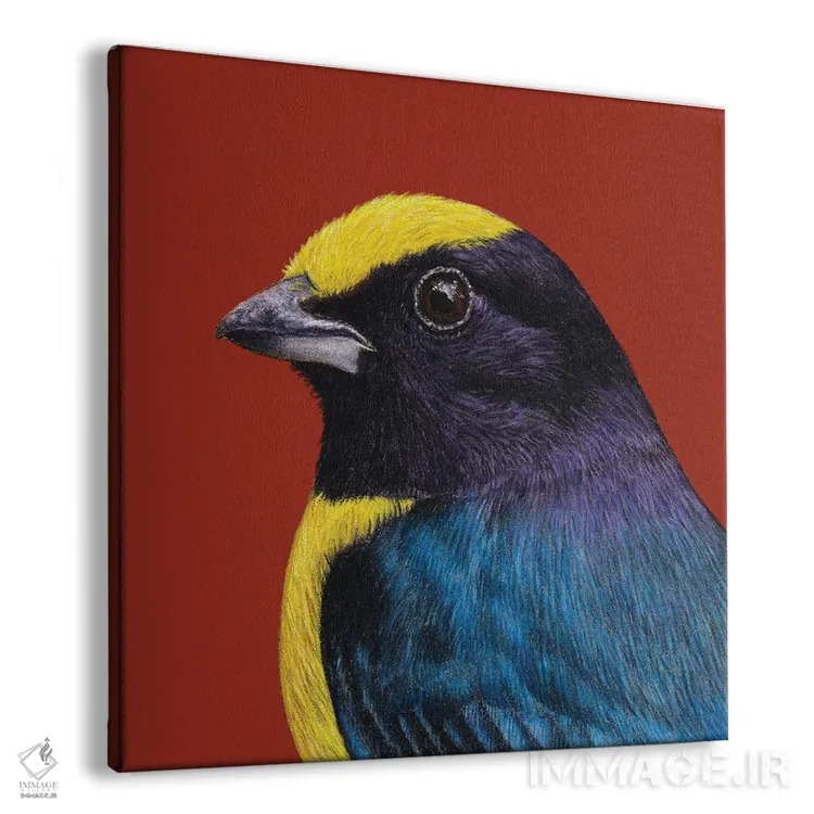 تابلو دکوراتیو اوفونیا شکم نارنجی اثر میخائیل ودرنیکوف - نمای پرسپکتیو محصول