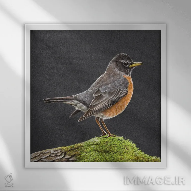 تابلو دکوراتیو روبین آمریکایی اثر میخائیل ودرنیکوف - نمای قابدار سفید