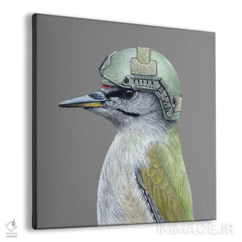 تابلو دکوراتیو دارکوب سرخاکستری اثر میخائیل ودرنیکوف - نمای پرسپکتیو محصول