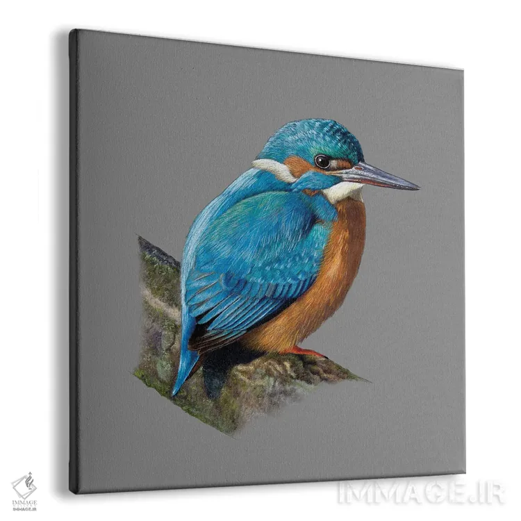 تابلو دکوراتیو "مرغ ماهی خوار معمولی" اثر میخائیل ودرنیکوف - نمای پرسپکتیو محصول