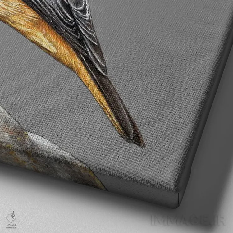 تابلو دکوراتیو دم جنبانک سیاه اثر میخائیل ودرنیکوف - نمای نزدیک بافت بوم