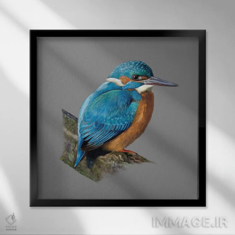 تابلو دکوراتیو "مرغ ماهی خوار معمولی" اثر میخائیل ودرنیکوف - نمای قابدار مشکی