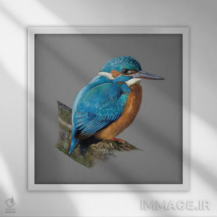 تابلو دکوراتیو "مرغ ماهی خوار معمولی" اثر میخائیل ودرنیکوف - نمای قابدار سفید