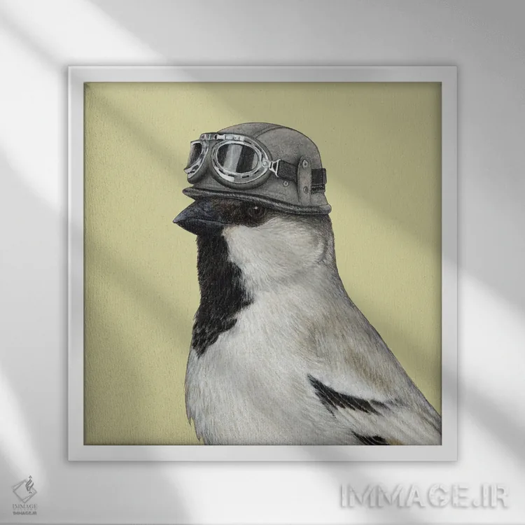 تابلو دکوراتیو "گنجشک بیابانی" اثر میخائیل ودرنیکوف - نمای قابدار سفید