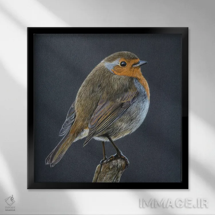 تابلو دکوراتیو "مرغ سهره اروپایی" اثر میخائیل ودرنیکوف - نمای قابدار مشکی