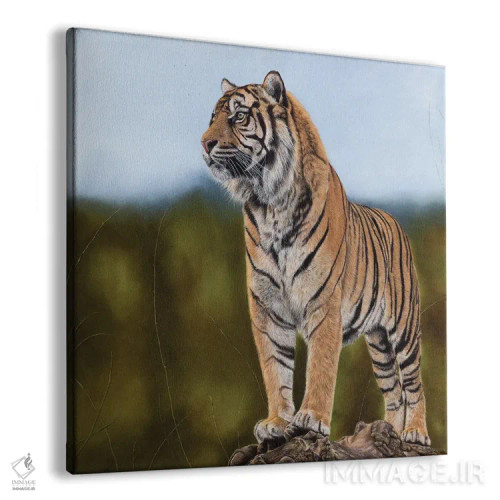 تابلو دکوراتیو "ببر" اثر میخائیل ودرنیکوف - نمای پرسپکتیو محصول