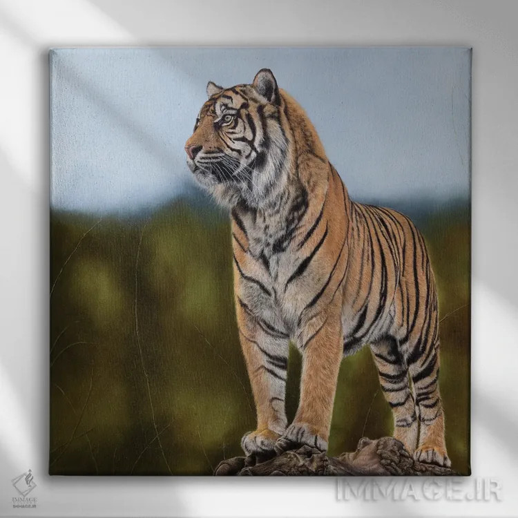 تابلو دکوراتیو "ببر" اثر میخائیل ودرنیکوف - نمای روبهرو روی دیوار