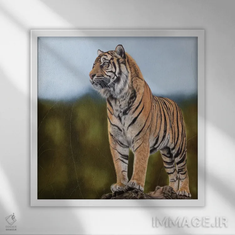 تابلو دکوراتیو "ببر" اثر میخائیل ودرنیکوف - نمای قابدار سفید