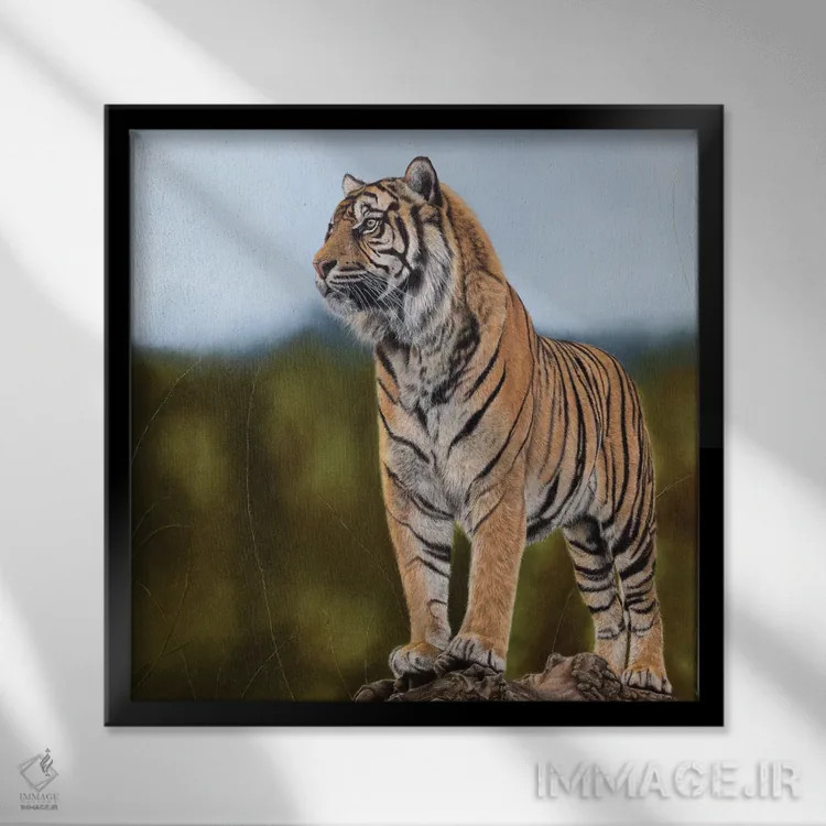 تابلو دکوراتیو "ببر" اثر میخائیل ودرنیکوف - نمای قابدار مشکی