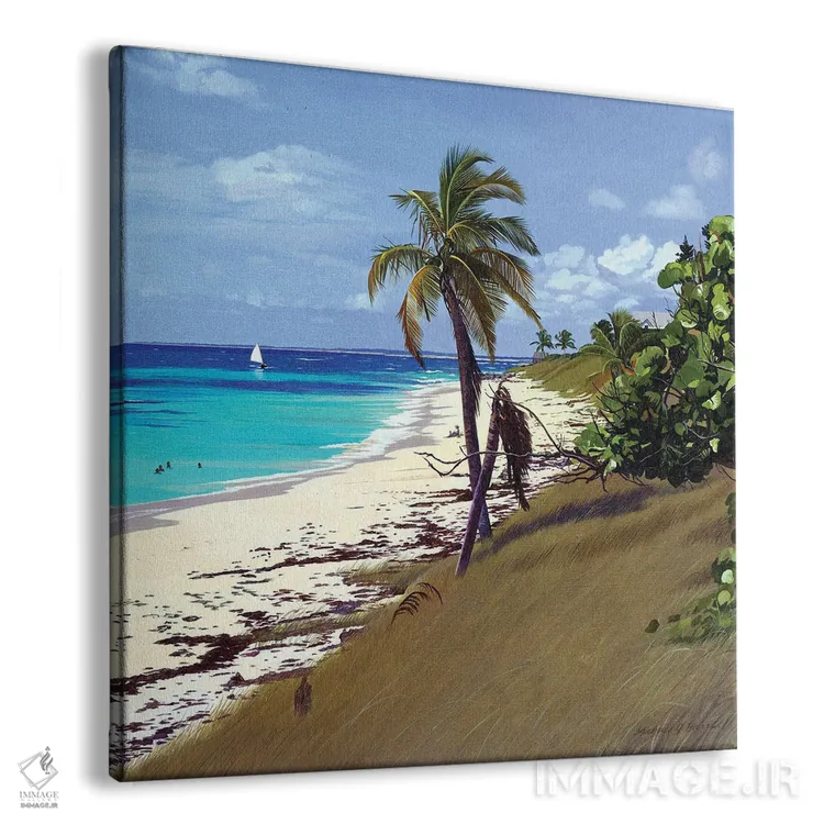 تابلو دکوراتیو بادهای تجاری، باهاما اثر مایکل جی. هارل - نمای پرسپکتیو محصول